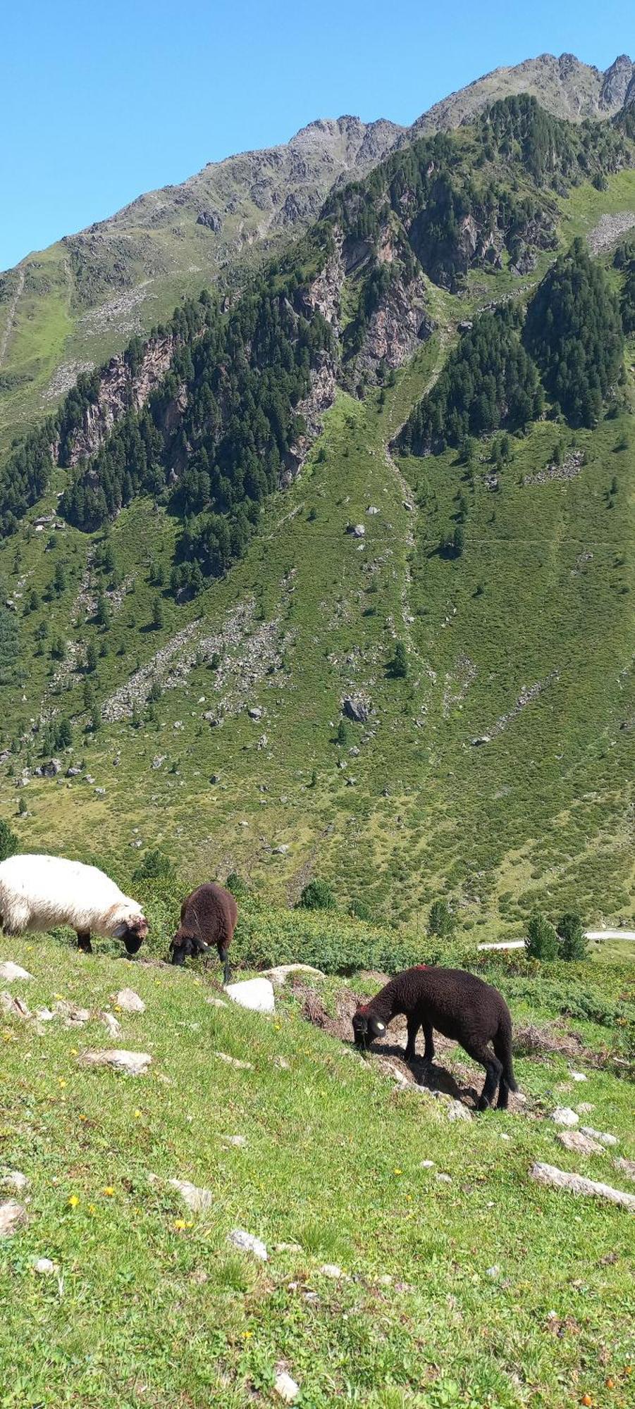 Ferienwohnung Goetzner Auszeit Innsbruck Esterno foto