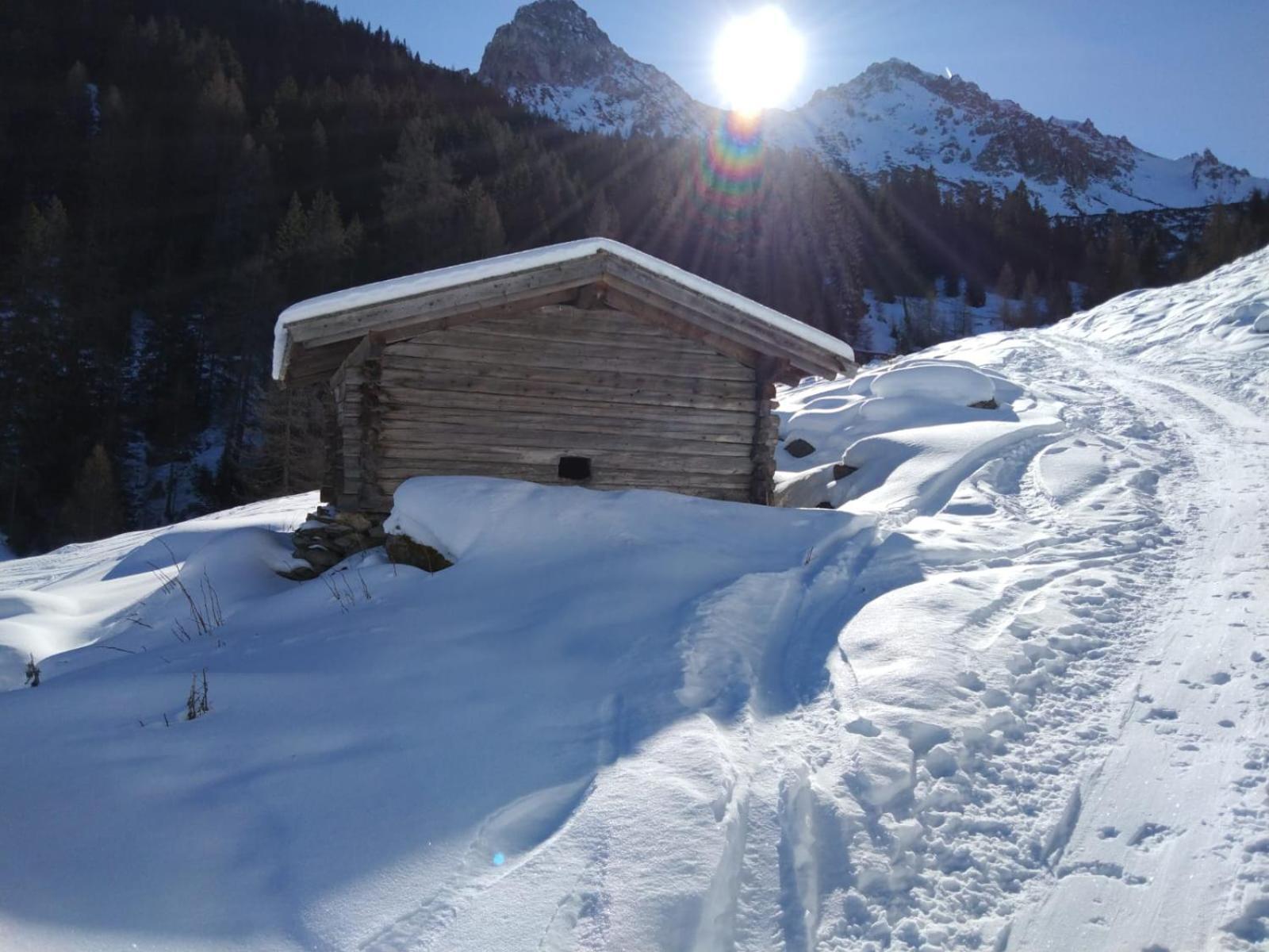 Ferienwohnung Goetzner Auszeit Innsbruck Esterno foto