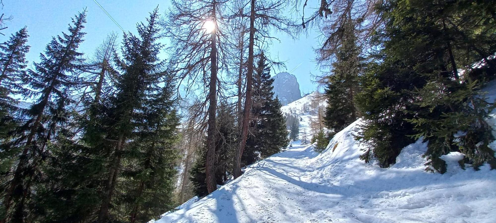 Ferienwohnung Goetzner Auszeit Innsbruck Esterno foto